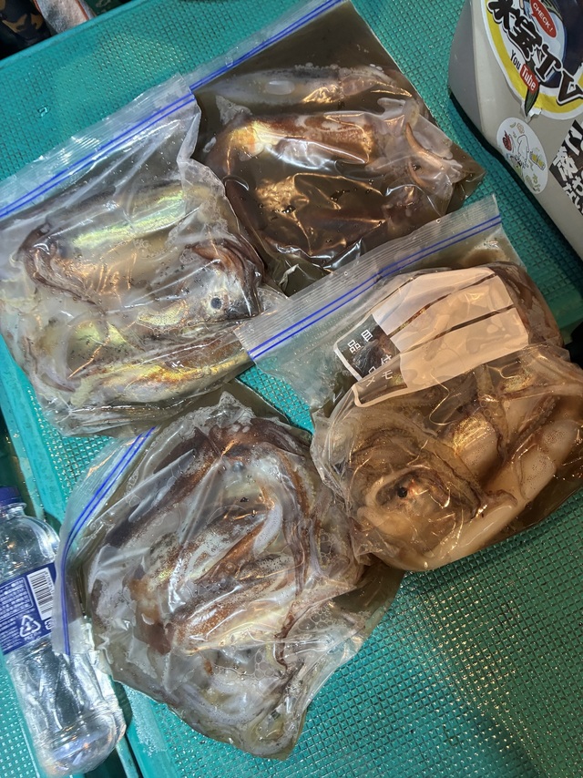 スルメイカ