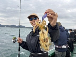 アオリイカ