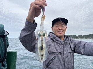 アオリイカ