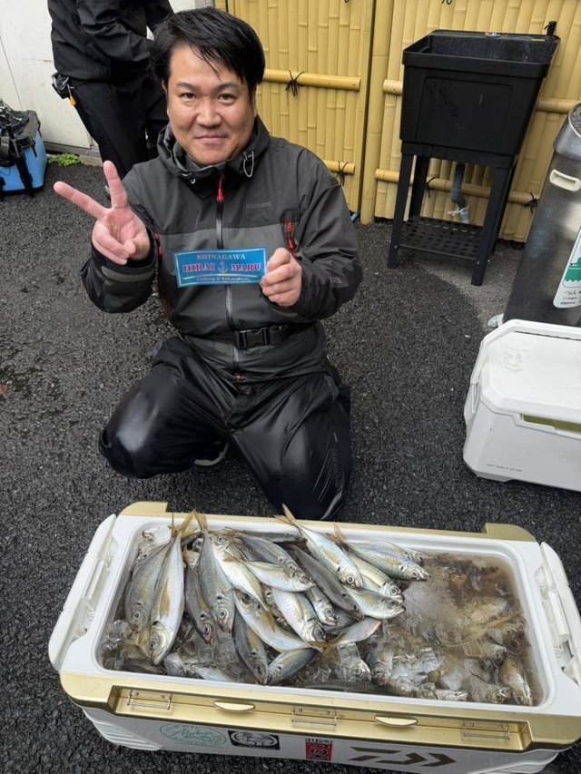 マアジ