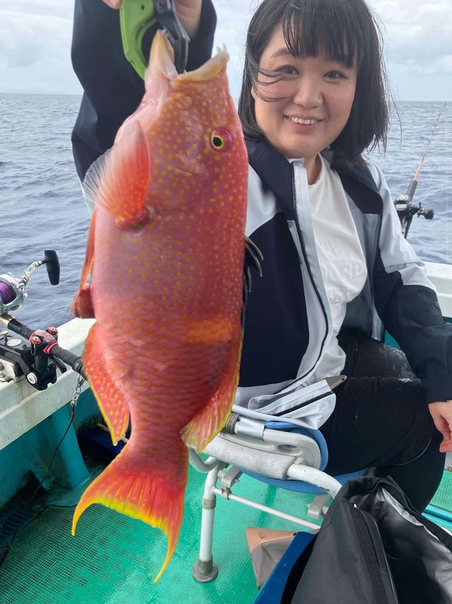 バラハタ