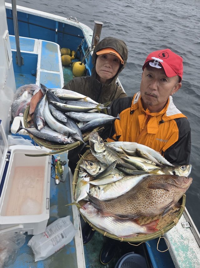 オオモンハタ・アジ(マアジ)・イサキ