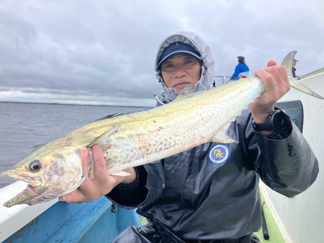 サワラ