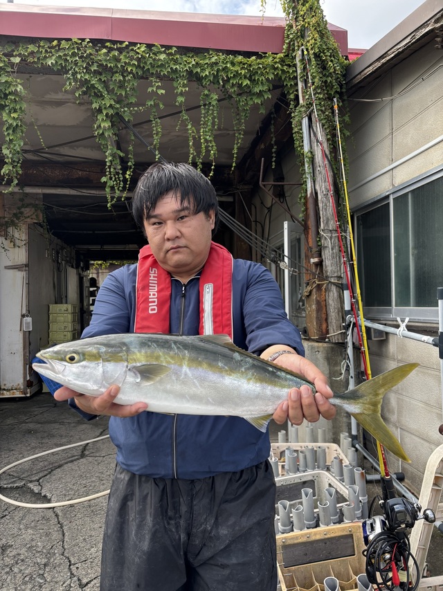 イナダ(ブリ)