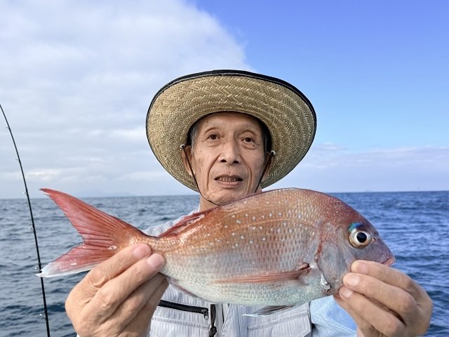 マダイ