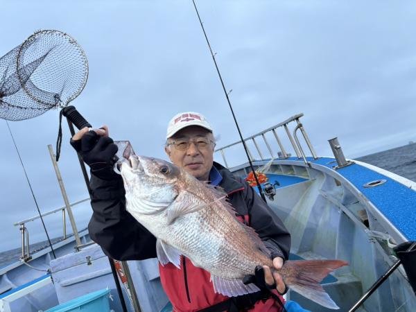 マダイ