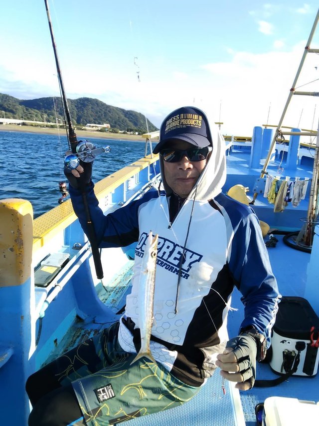 カマス(アカカマス)