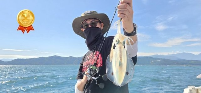 アオリイカ