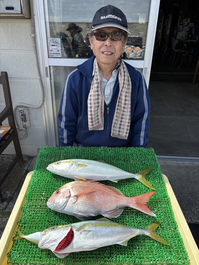 マダイ・イナダ(ブリ)