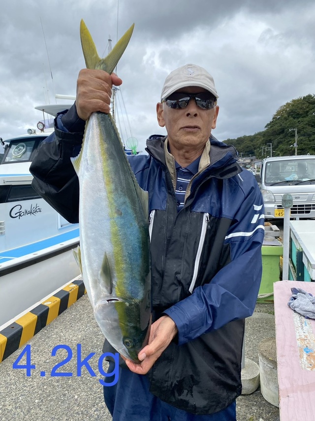 ワラサ(ブリ)