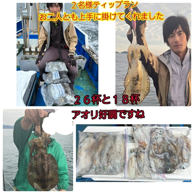 アオリイカ