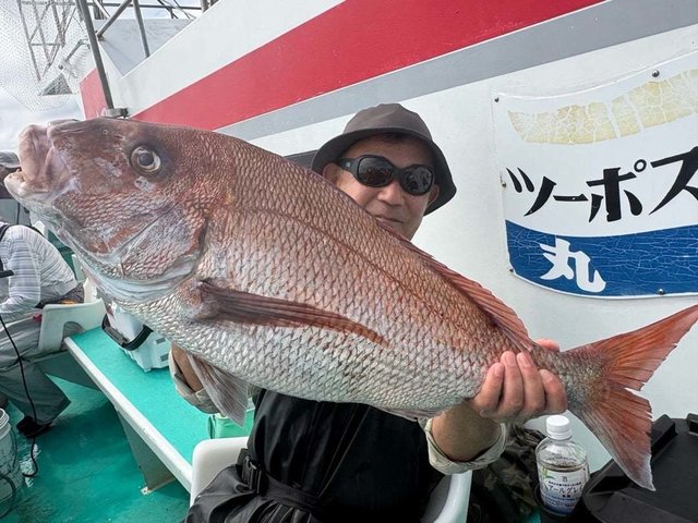 マダイ