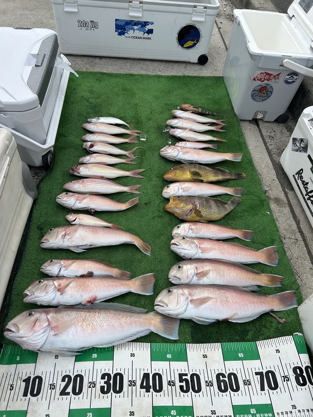 シロアマダイ