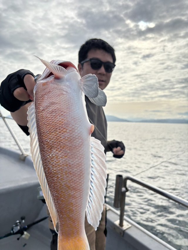 シロアマダイ