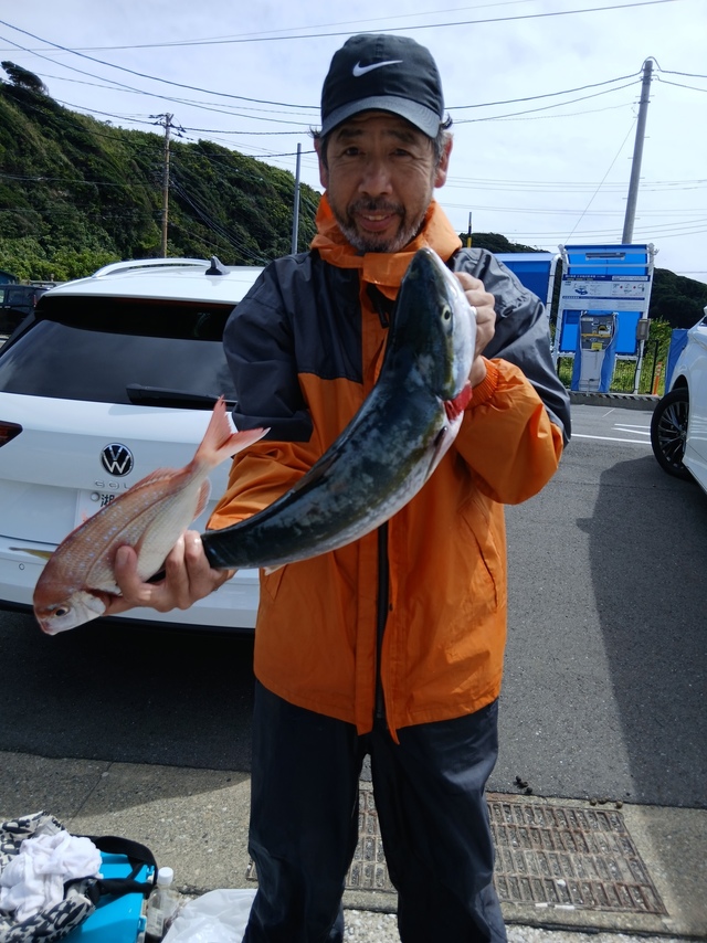 ワラサ(ブリ)