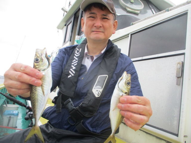 アジ(マアジ)
