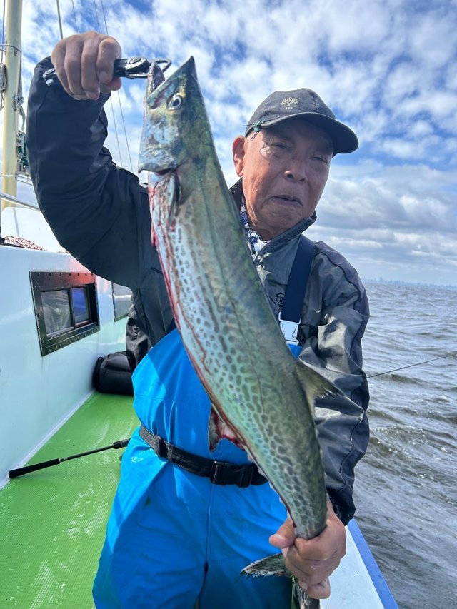 サワラ