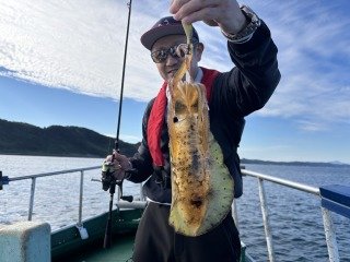 アオリイカ