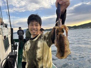 アオリイカ