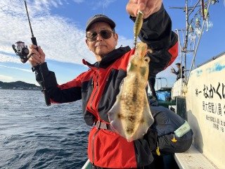アオリイカ