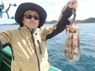 アオリイカ