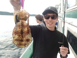 アオリイカ