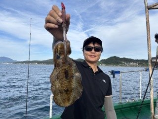 アオリイカ