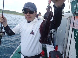アオリイカ