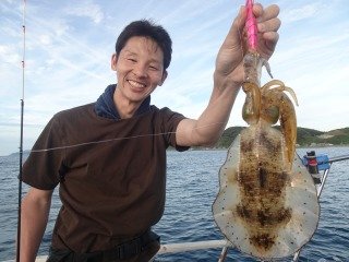 アオリイカ