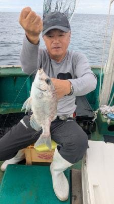 チダイ
