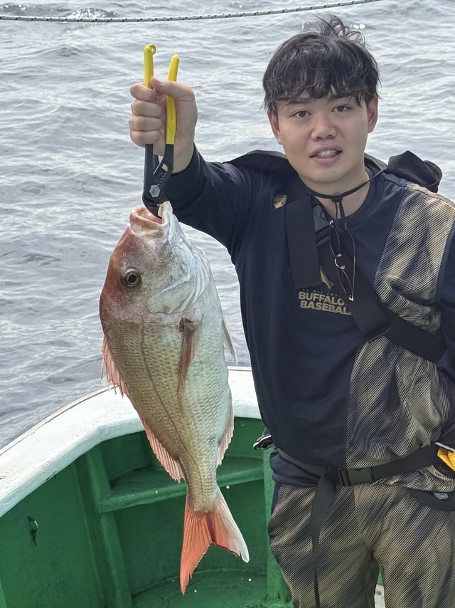 マダイ