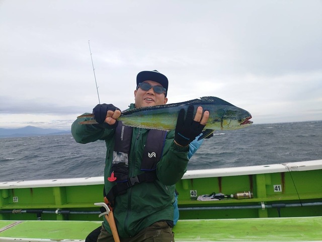 シイラ