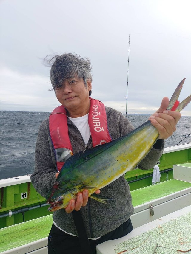 シイラ