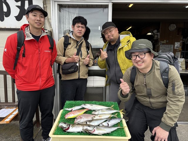 アジ(マアジ)