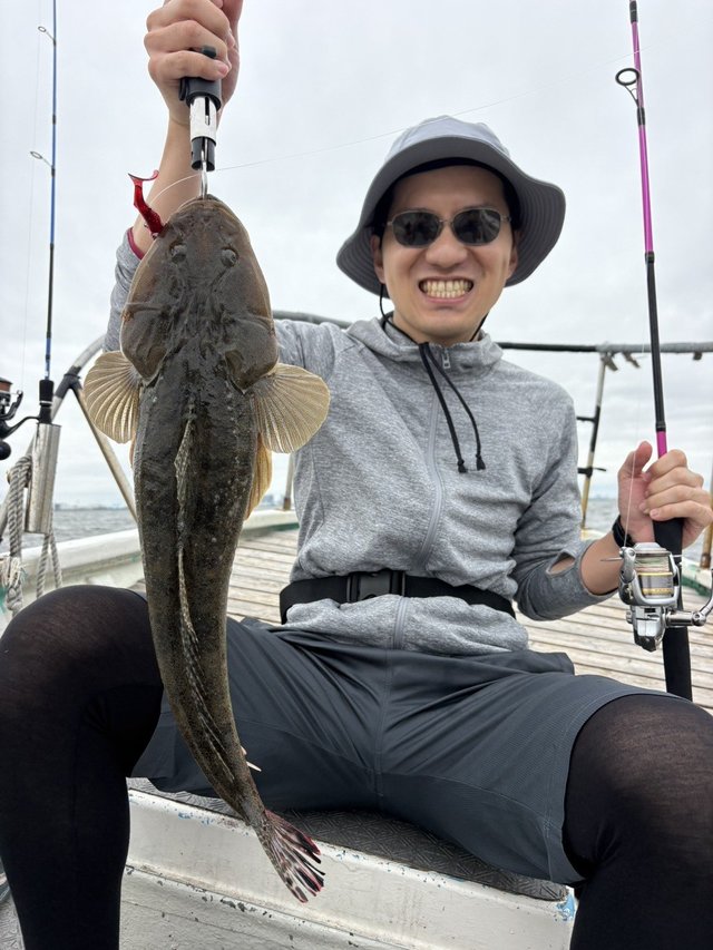 マゴチ
