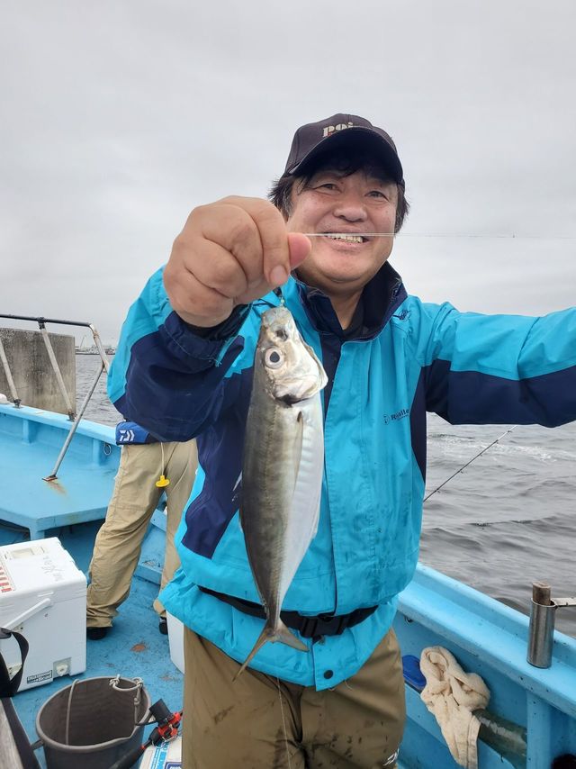 アジ(マアジ)