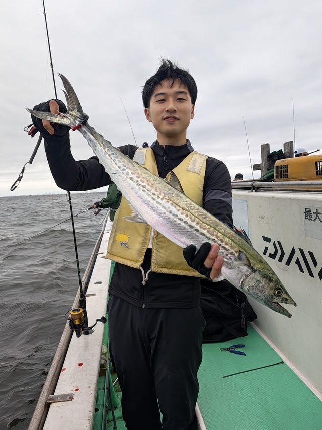 サワラ