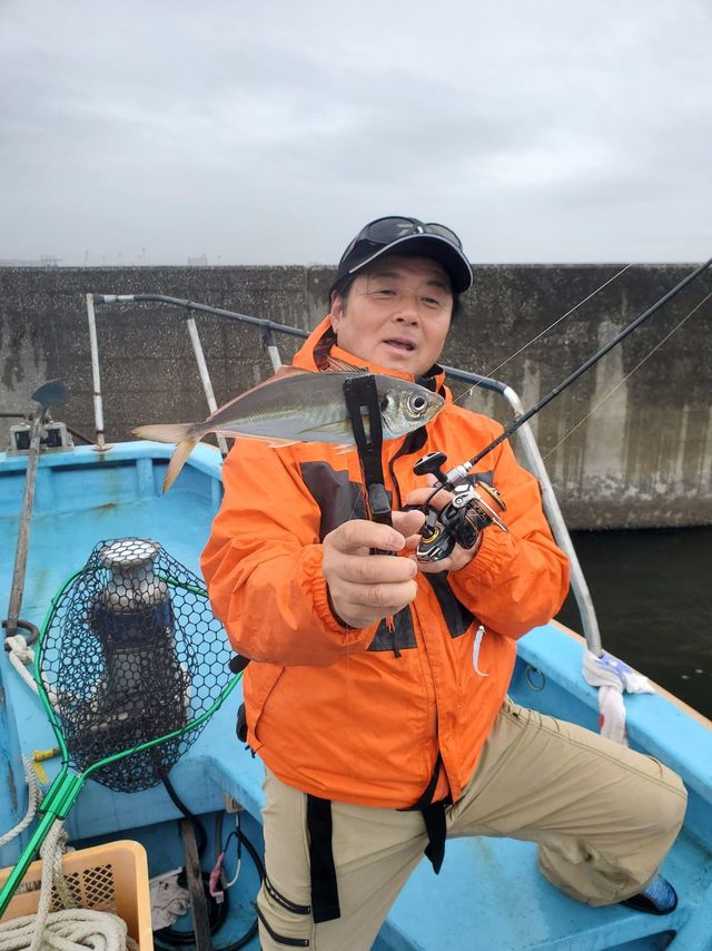 アジ(マアジ)
