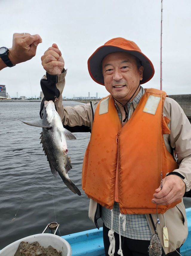 クロダイ