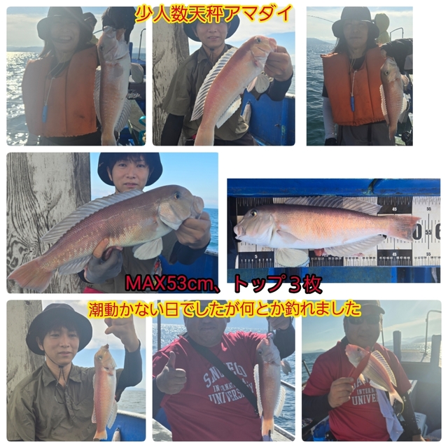 シロアマダイ
