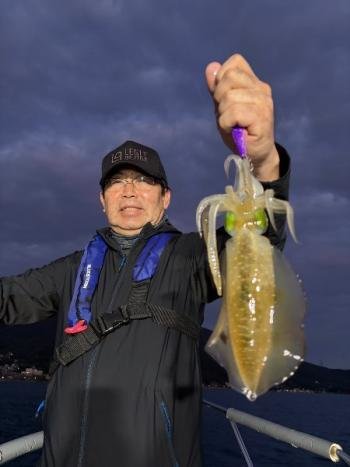 アオリイカ