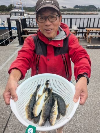 ショウサイフグ