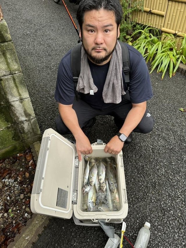 マアジ