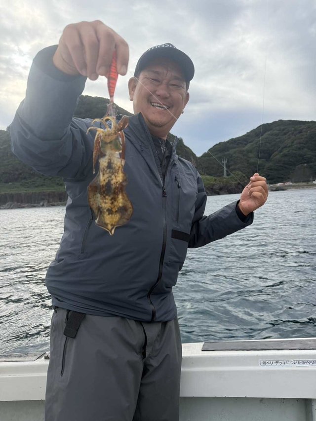 アオリイカ