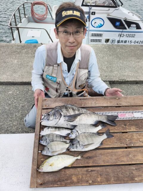 チヌ(クロダイ)・シマアジ
