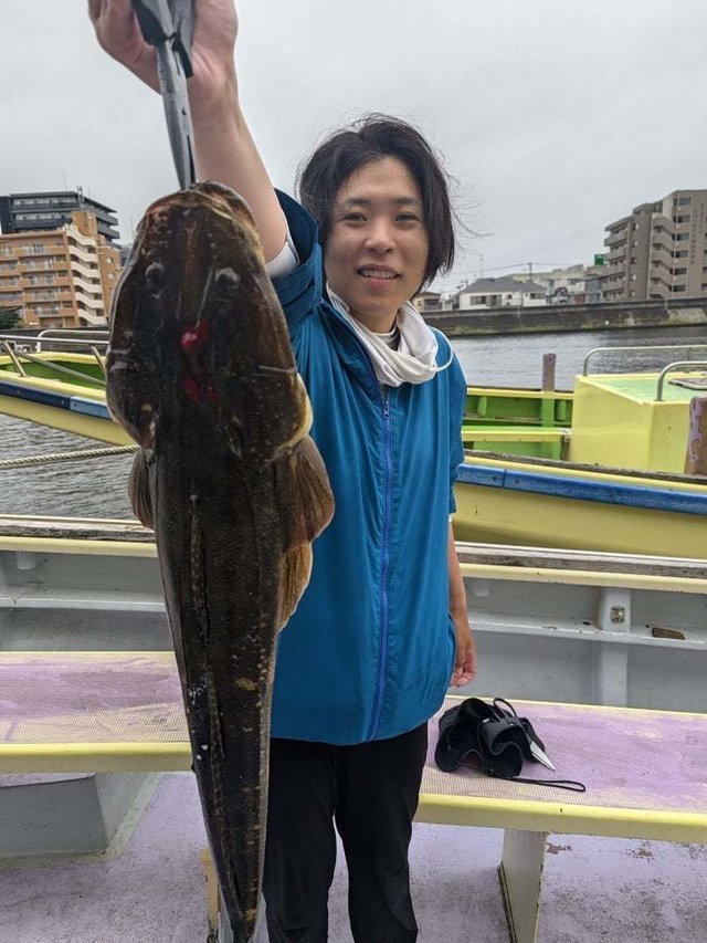 マゴチ