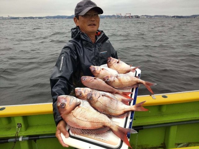 マダイ
