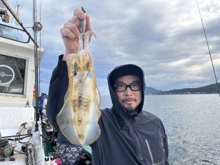 アオリイカ