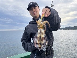 アオリイカ
