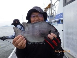 サンバソー(イシダイ)